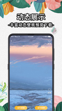 透明动态壁纸app