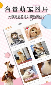 猫语翻译宝安卓版