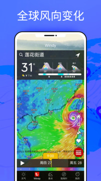 Windy安卓版