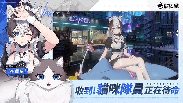 猫之城国际服